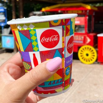 Top 10 ways to stay cool and have fun in the sun at Walt Disney World!